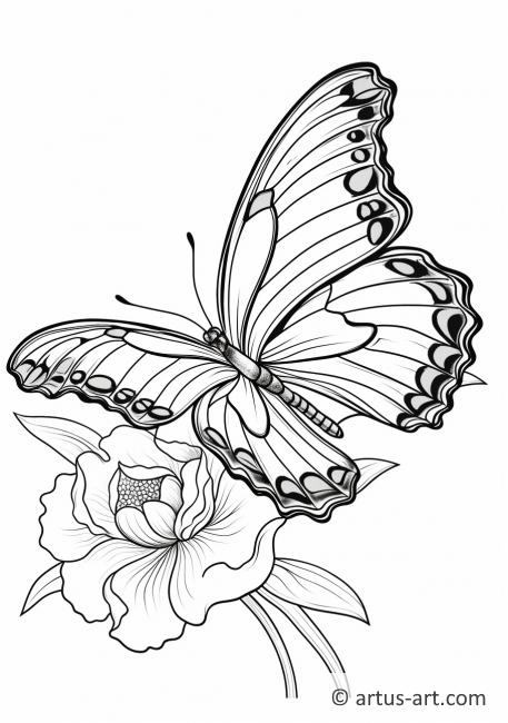 Tropische vlinder op een bloem Kleurplaat